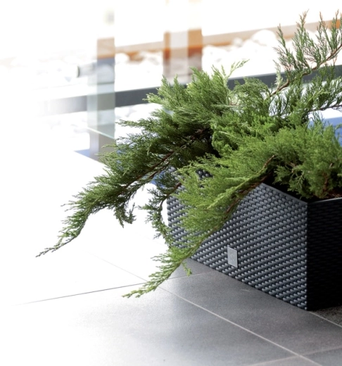 Modstandsdygtig plast og nem vedligeholdelse