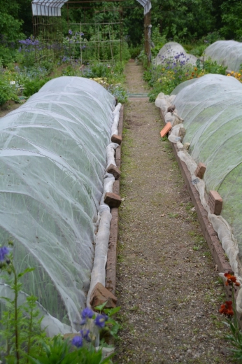 Alsidig anvendelse til bede og buske
