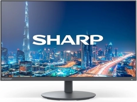 NEC MultiSync 22" sort monitor