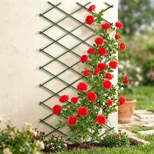 Elegant støtte til roser og andre klatreplanter