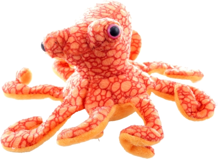 Sikker fra fødslen (0+)