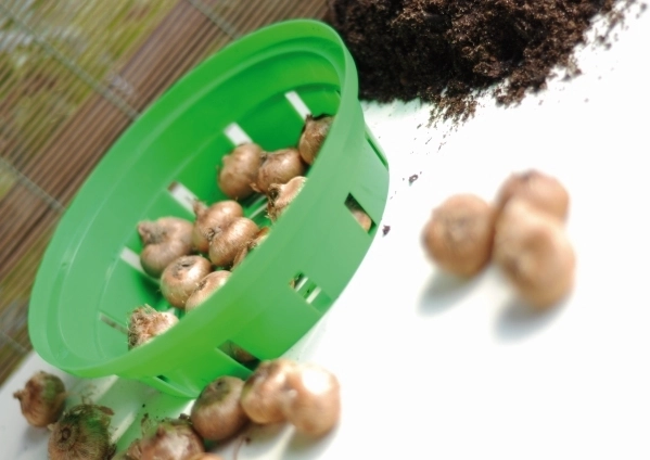 Beskyttelse mod skadedyr og orden i bedet