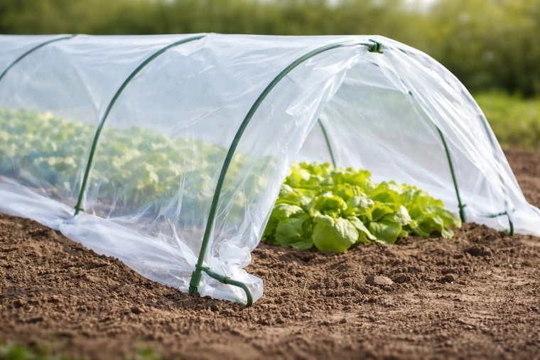 Varmt mikroklima og beskyttelse hele dagen