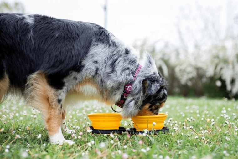 Hurtig brug hvor som helst