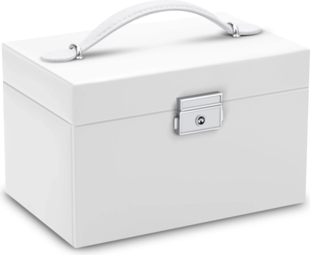 Låsbart boks med håndtag for nem transport