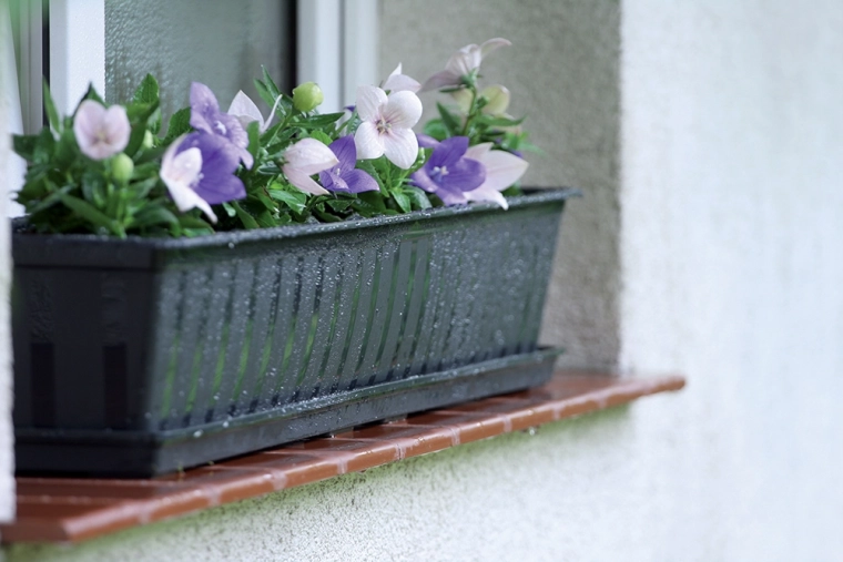 Perfekt til vinduer og altaner