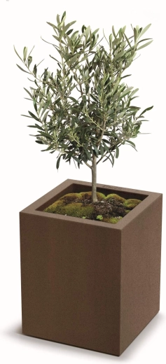 Stabilitet og stil for sund plantevækst