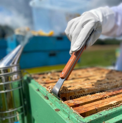 Nem opbrydning og løft af rammer