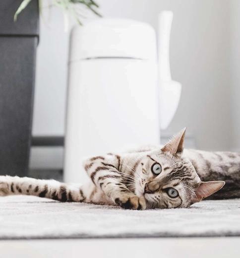 Praktisk tilbehør og transport