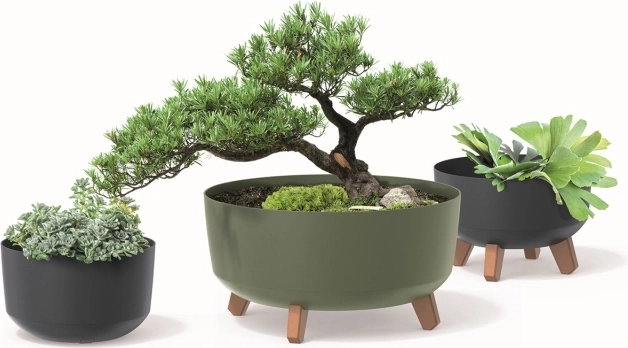 Miljøvenlig kollektion ECO WOOD