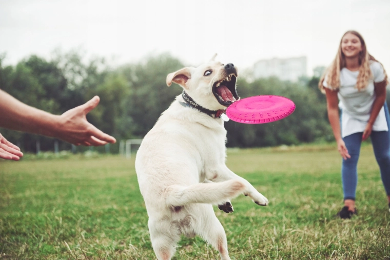 Stabil flyvning og nem at gribe