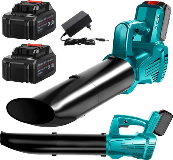 To batterier og lader i sættet