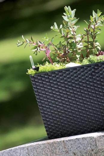 Stilrent rattan‑design til inde og ude