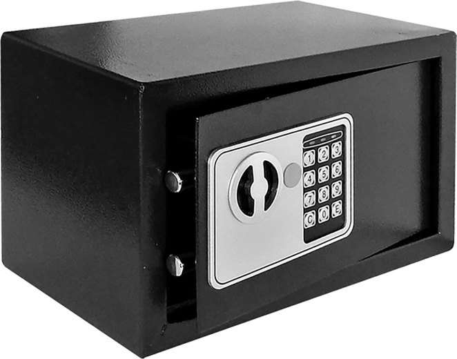 Digitalt pengeskab 310