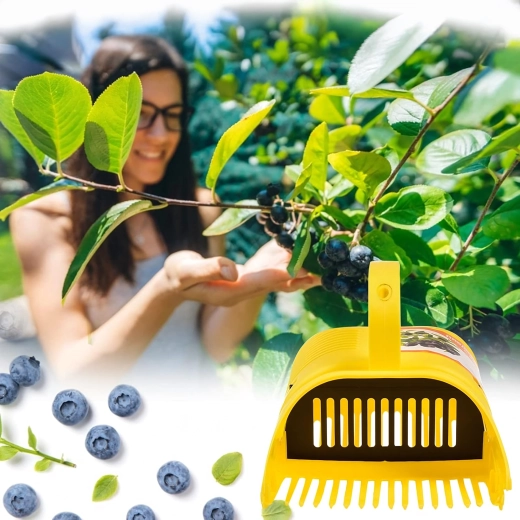 Renere høst uden blade