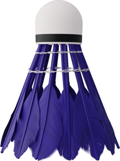 Hurtig og stabil flyvning med andefjer