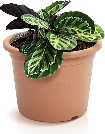 Praktisk dræn for sunde rødder