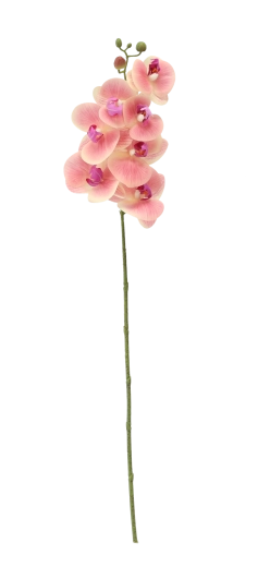 Længde 74 cm til elegant arrangering