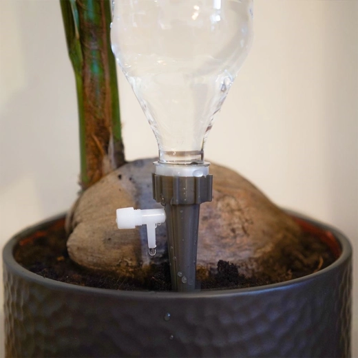 Stabil forankring i potten