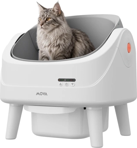 Sikkert åbent rum til katten