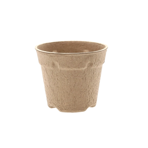 Uden omplantningsstress