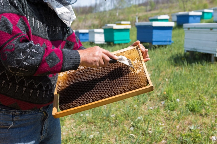 Hurtigere arbejde i bigården