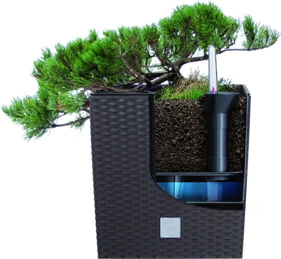 Udtagelig indsats for nem plantning