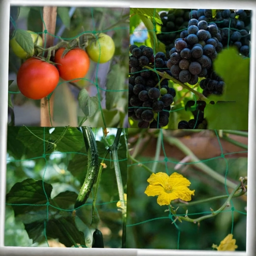 Alsidig anvendelse i haven og i drivhuset