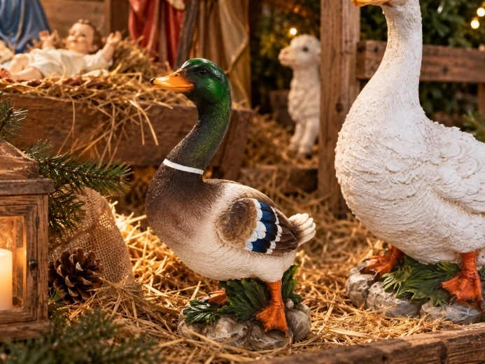 Velegnet til julekrybben