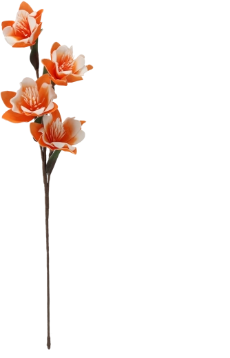 Flere blomster på én stilk
