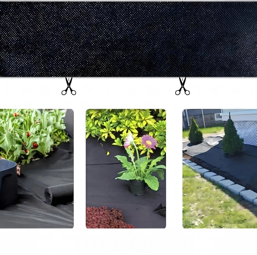 Nem udlægning og mulighed for udplantning via snit