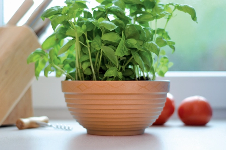 Ideel til krydderurter og sæsonblomster