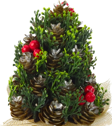 Realistiske detaljer i kogler og bær