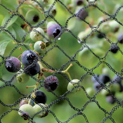 Pålidelig beskyttelse af afgrøder og planter
