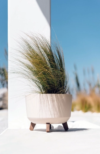 Rigelig plads til sund vækst