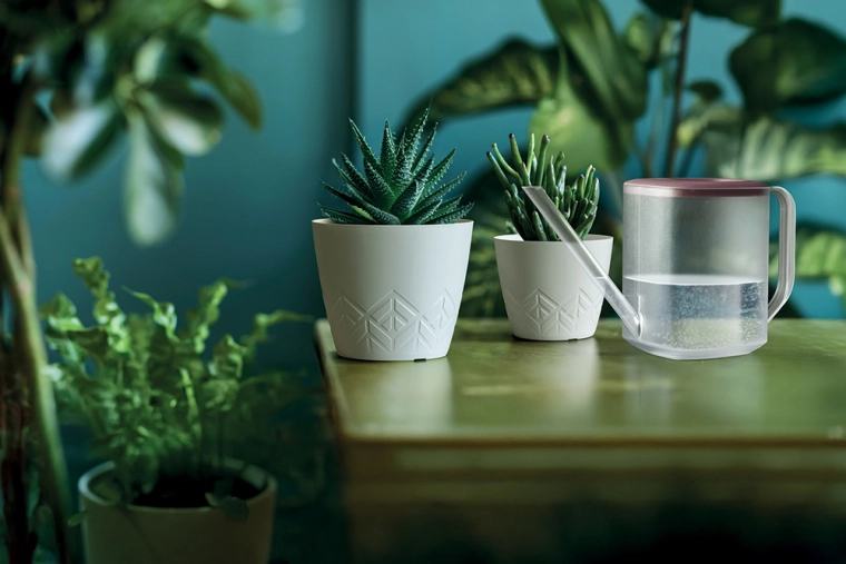 Nem omplantning og vedligeholdelse