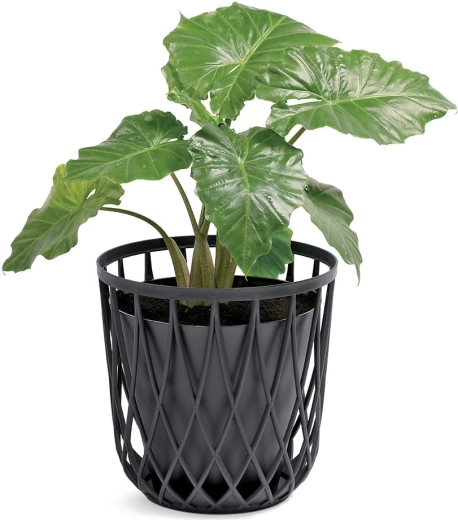 Også fremragende som overpotte