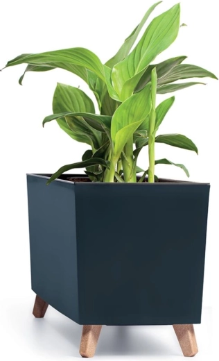 Elegant til både inde og ude