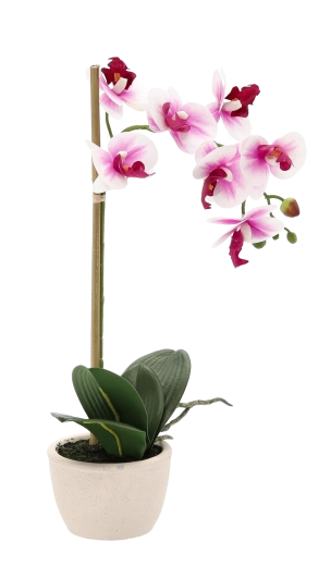 Naturligt realistiske blomster og blade