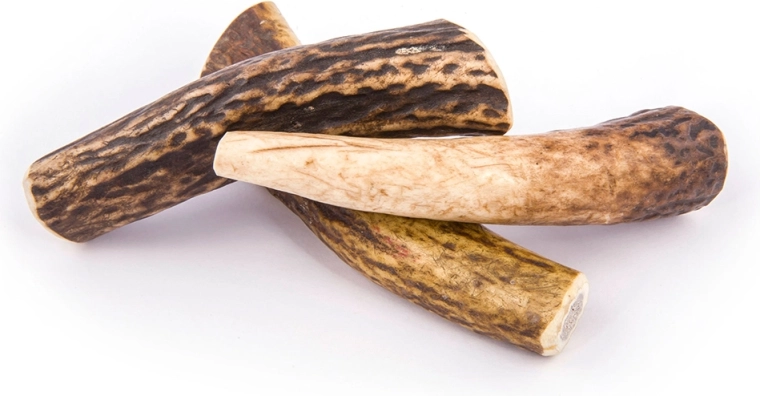 Langvarig tygning uden lugt