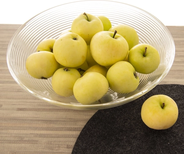 Ideel skål til frugt og snacks
