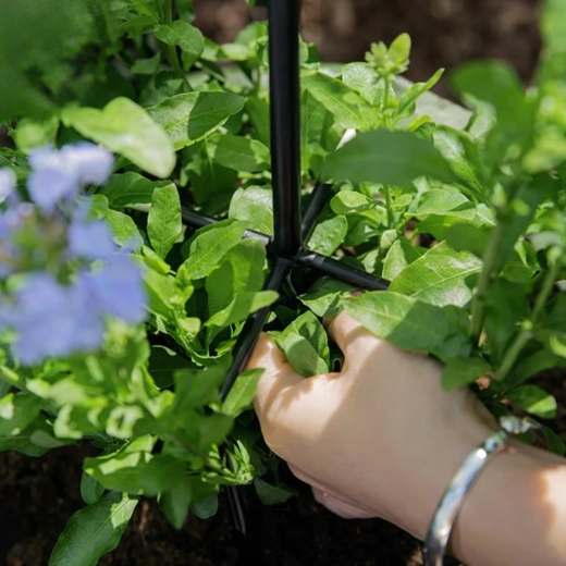 Stabil støtte til rig blomstring