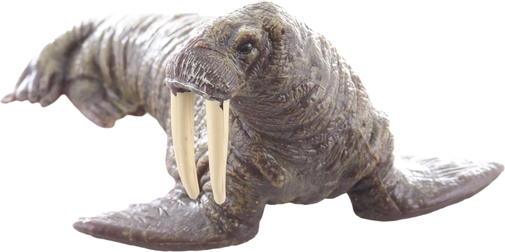 Ideel til læring og samling