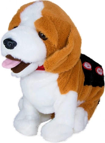 Understøtter udvikling af færdigheder