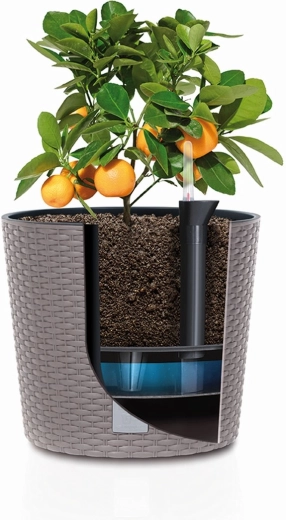 Bekvem dyrkning med udtagelig indsats