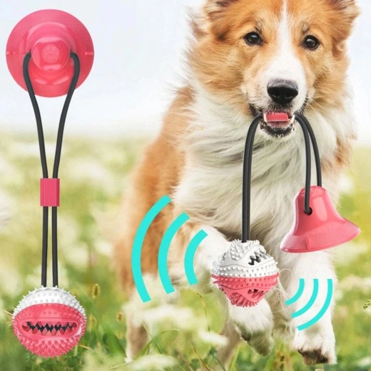 Sunde tænder og gummer ved hver leg