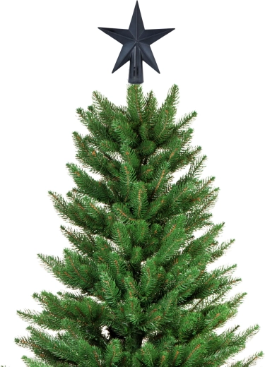 Stjerne til toppen som den markante finish