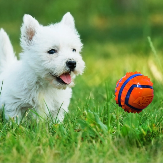 Høj synlighed ved udendørs leg