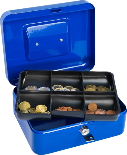 Overskuelig møntindsats