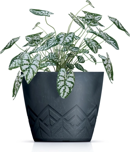 Moderne relief til et stilrent interiør